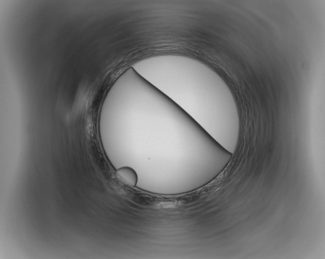 X0000116590595200912101334