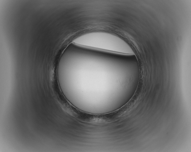 X0000116590596200912101334