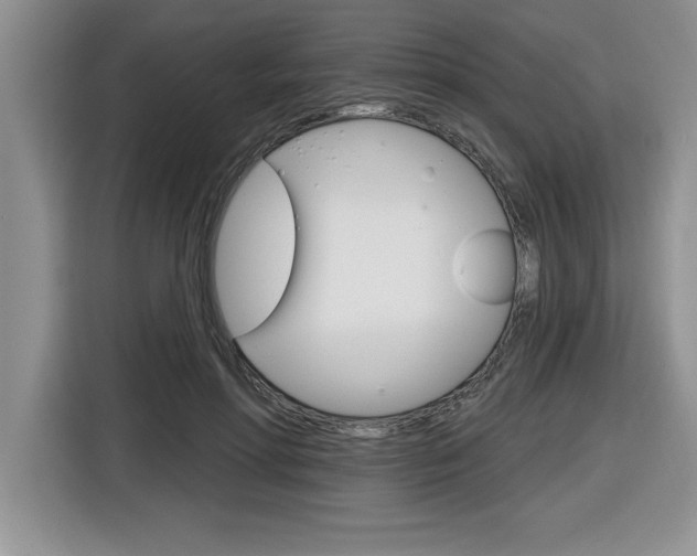 X0000116590598200912101334