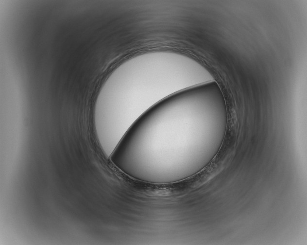 X0000116590600200912101333