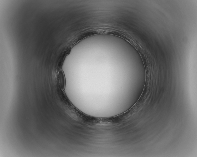 X0000116590601200912101333