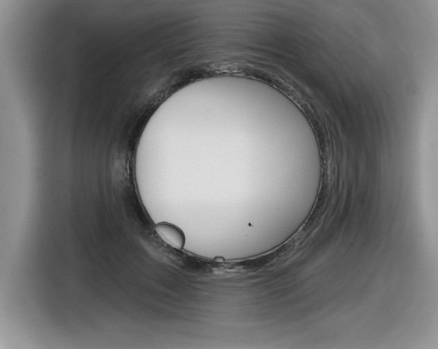 X0000116590603200912101333