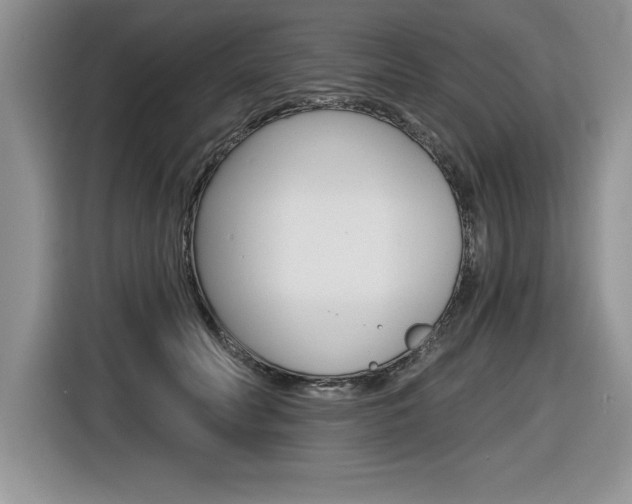 X0000116590606200912101333