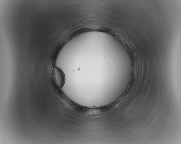 X0000116590609200912101333
