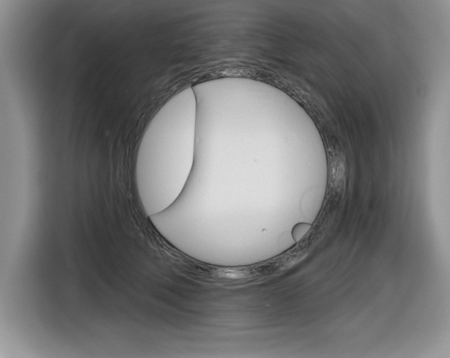 X0000116590610200912101333