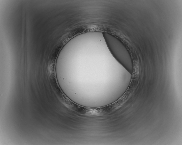 X0000116590611200912101333