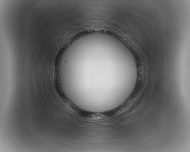 X0000116590612200912101333