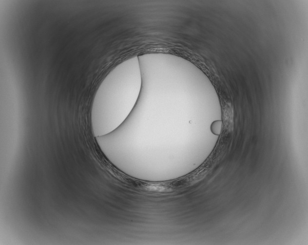 X0000116590614200912101333