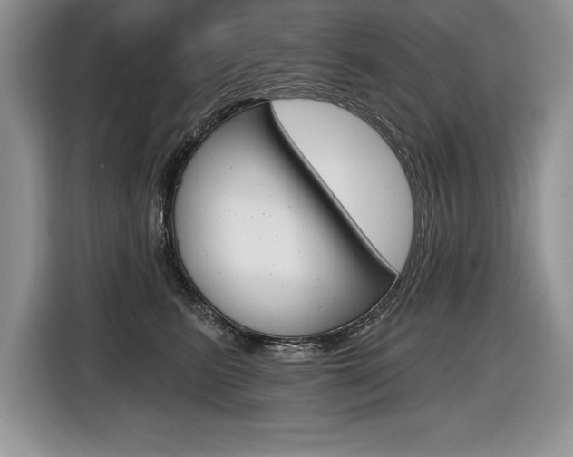 X0000116590615200912101333