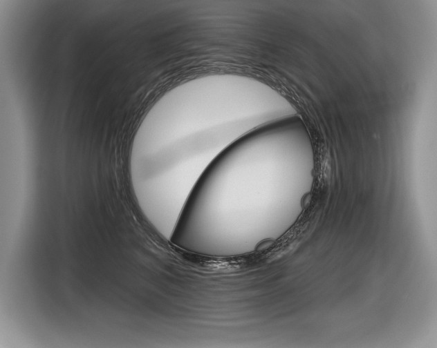 X0000116590616200912101333