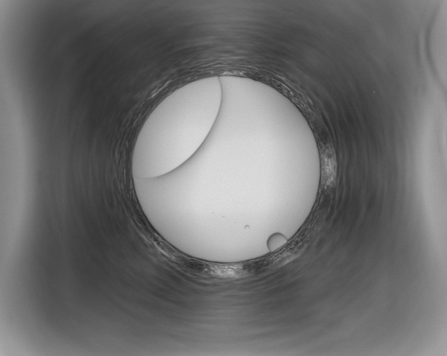 X0000116590618200912101333