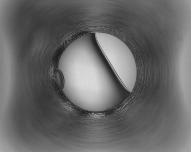 X0000116590619200912101333