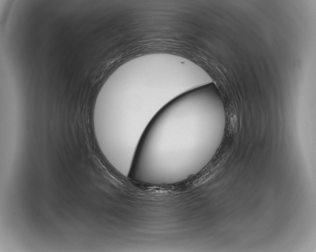 X0000116590620200912101333
