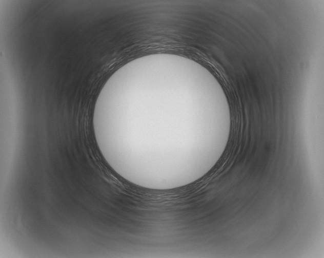 X0000116590621200912101333