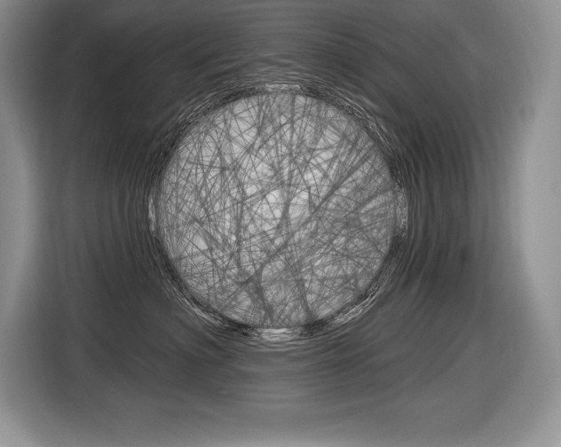 X0000116590622200912101333