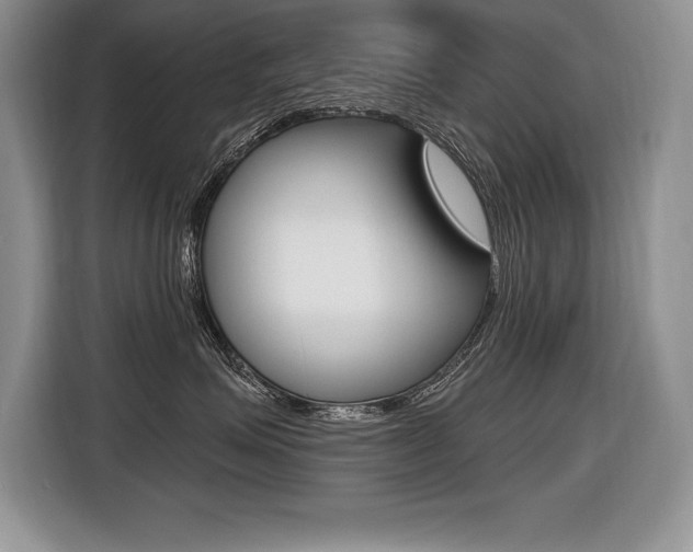X0000116590623200912101333