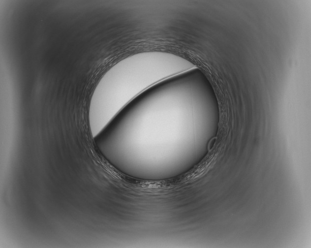 X0000116590624200912101333