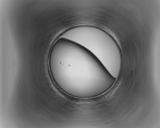X0000116590625200912101332