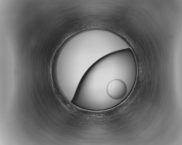 X0000116590626200912101333