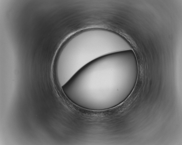 X0000116590628200912101333