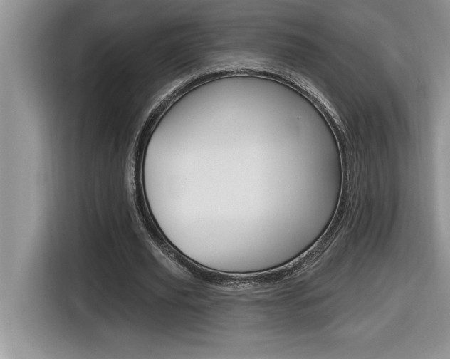 X0000116590629200912101333