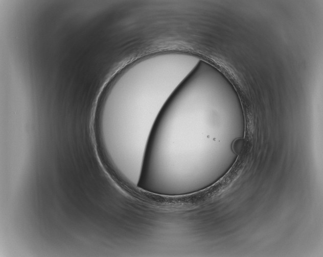 X0000116590630200912101333