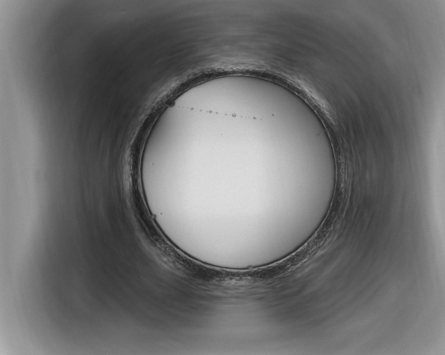 X0000116590631200912101333