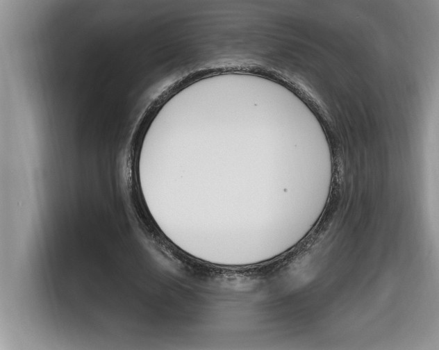 X0000116590632200912101333