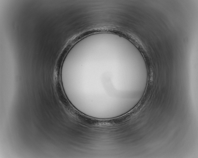 X0000116590636200912101333