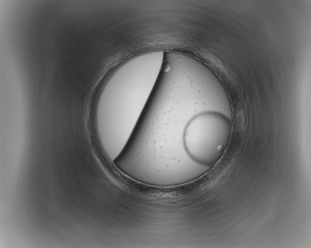 X0000116590638200912101333