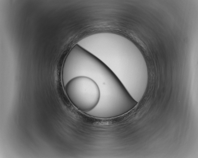 X0000116590639200912101333