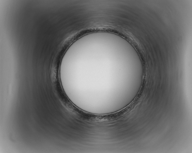 X0000116590640200912101333