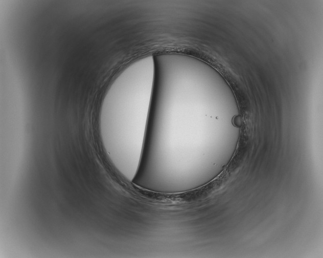 X0000116590642200912101333