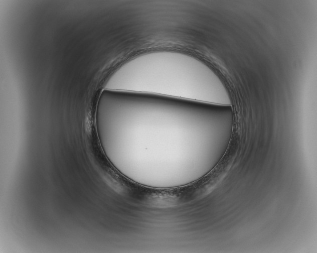 X0000116590644200912101333