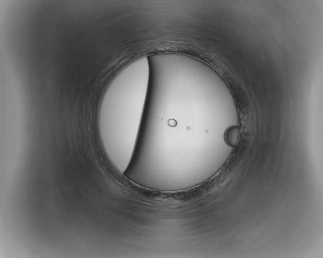 X0000116590648200912101333