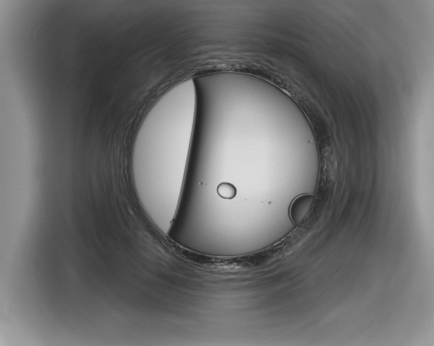 X0000116590650200912101333