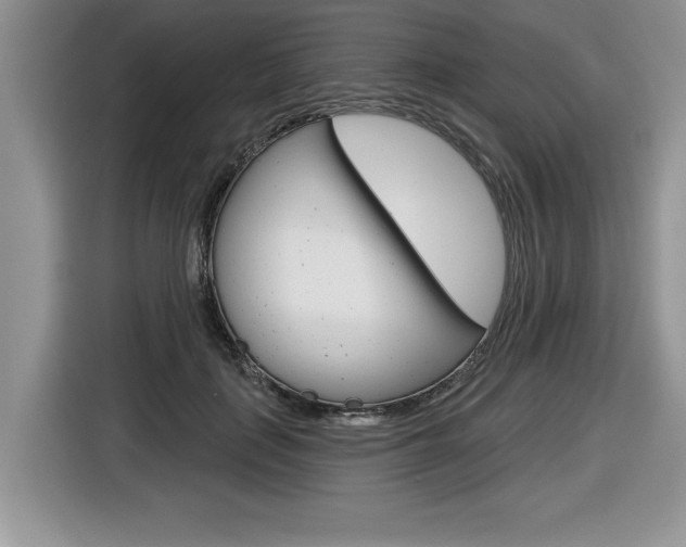 X0000116590651200912101333