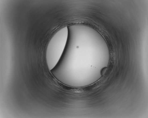 X0000116590652200912101333