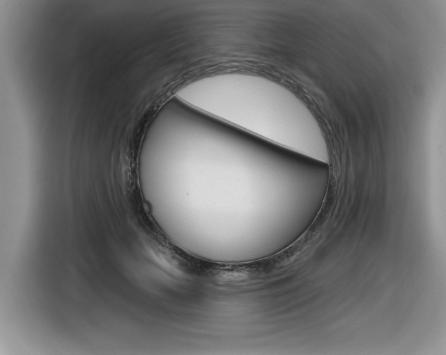 X0000116590653200912101333