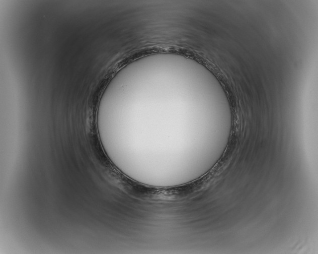 X0000116590656200912101333