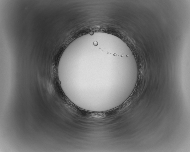 X0000116590659200912101333
