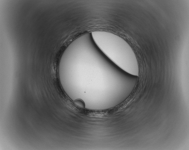 X0000116590661200912101333