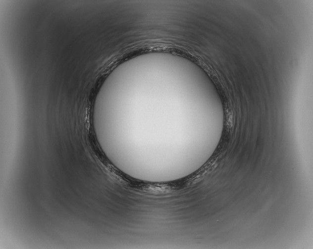 X0000116590666200912101333