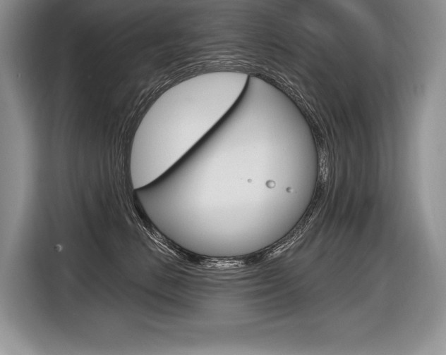 X0000116590670200912101333