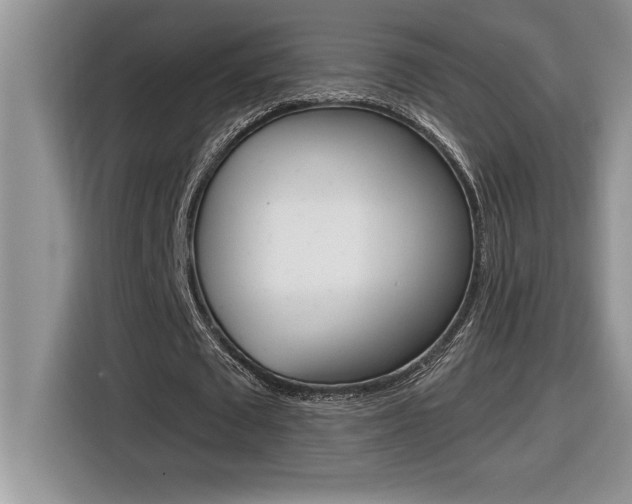 X0000116590673200912101332