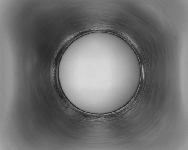X0000116590675200912101332