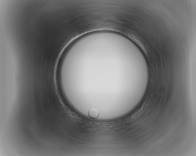 X0000116590676200912101332