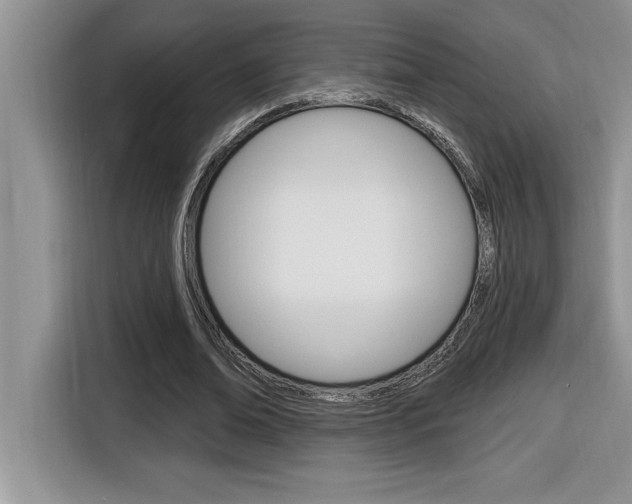 X0000116590678200912101332