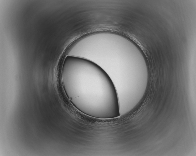 X0000116590679200912101332