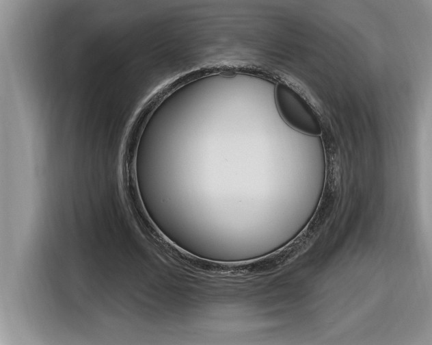 X0000116590680200912101332